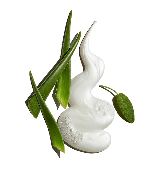 Pure Clean Daily Facial Cleanser with Aloe & Sage Leaf 2005