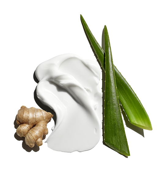 Dry Erase™ Ultra-Calming Face Cream with Hydromanil™, Ginger Root, Vitamins C & E 2016