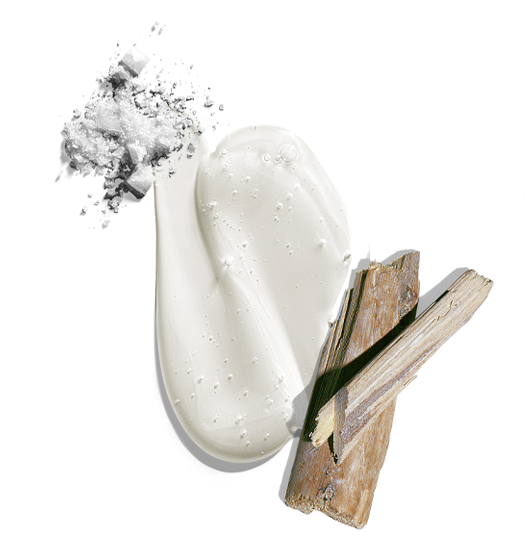 Big Sir™ Body & Hair Cleanser