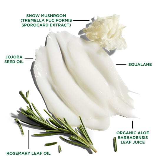 Leave it in Hair & Beard Balm Jack Black