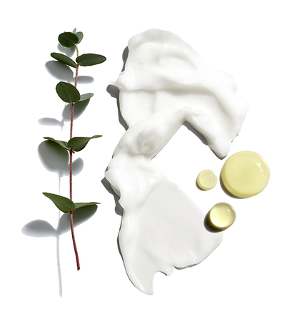 Beard Lube Conditioning Shave with Jojoba & Eucalyptus 1002