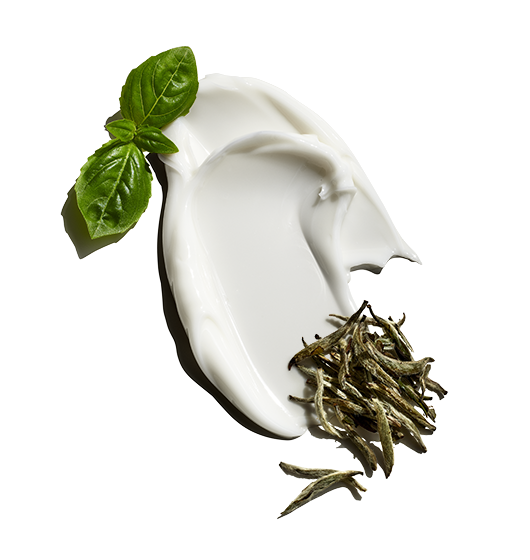 Double-Duty Face Moisturizer SPF 20 with Blue Algae Extract & Sea Parsley 2003
