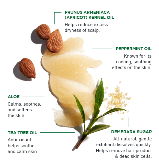  Exfoliating Scalp Scrub + Shampoo Jack Black 