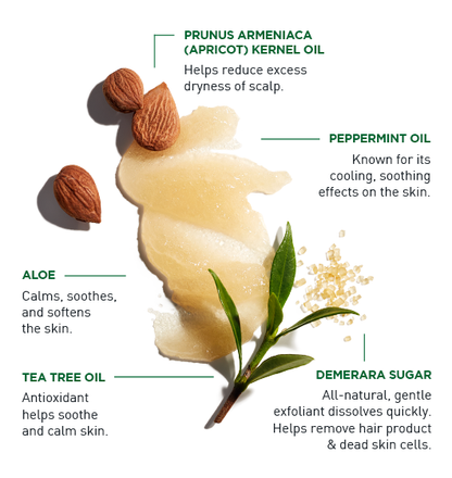  Exfoliating Scalp Scrub + Shampoo Jack Black 